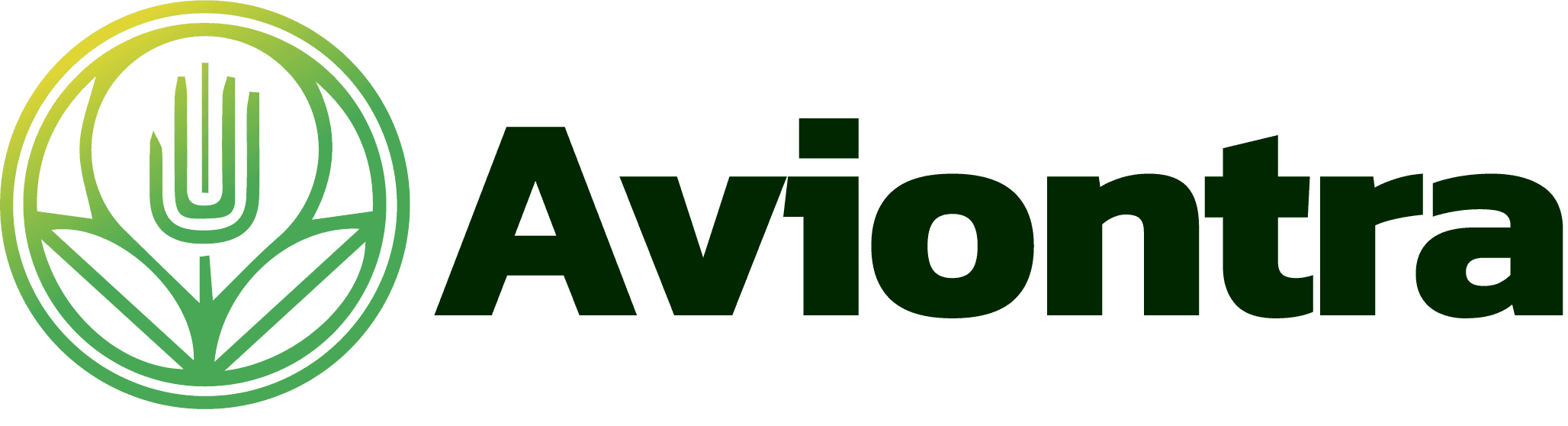aviontra.com