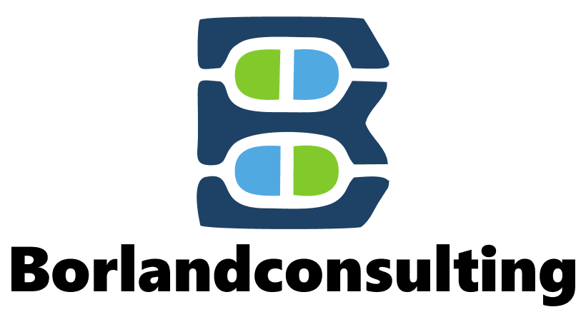 borlandconsulting.com